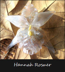 hannah rosner