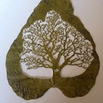 naturayarte